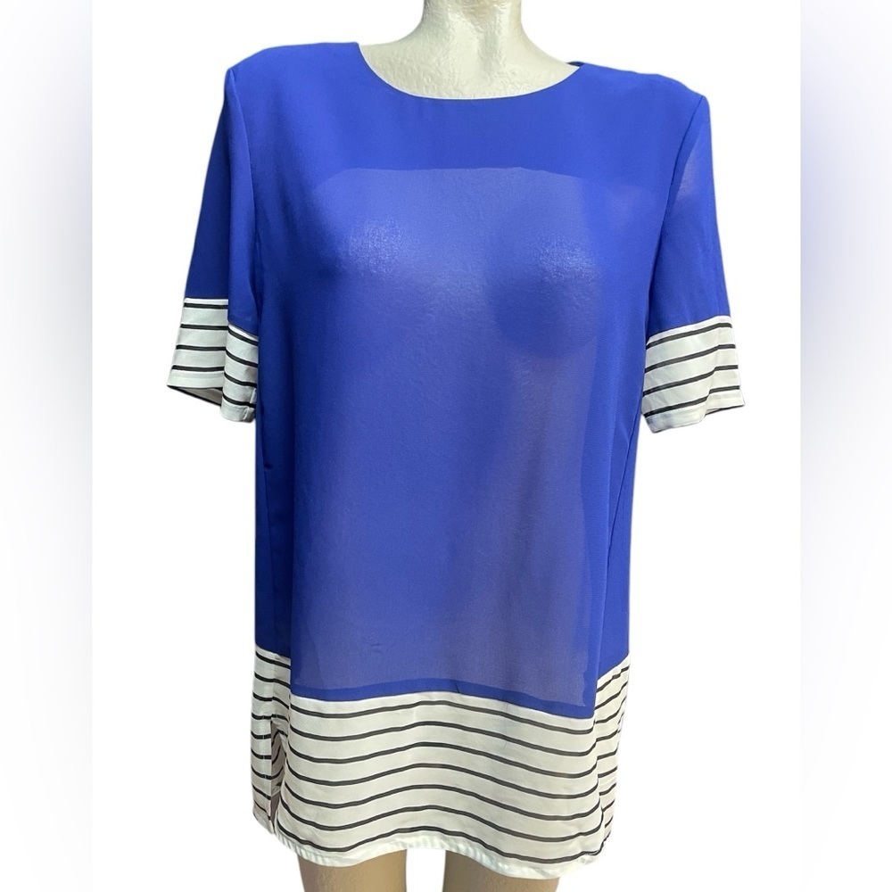 HYFYE Blue Sheer Striped Women's Top Size Large